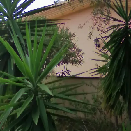 Appartamento Costa Smeralda/cugnana *
